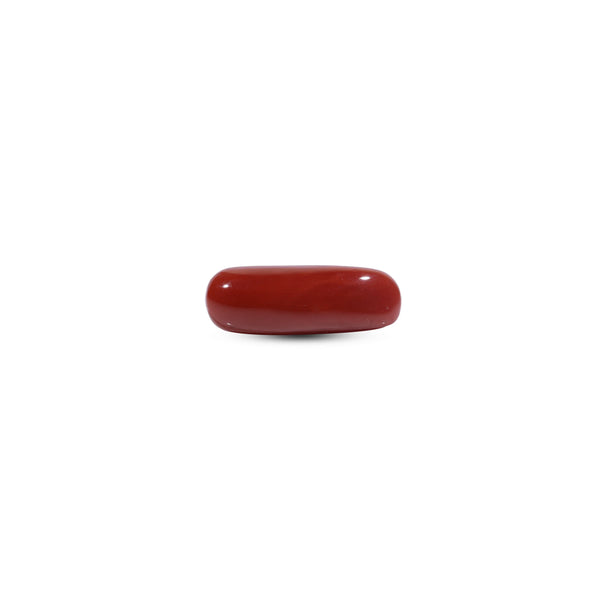  Red Coral - 7.2 Carat - Pramogh