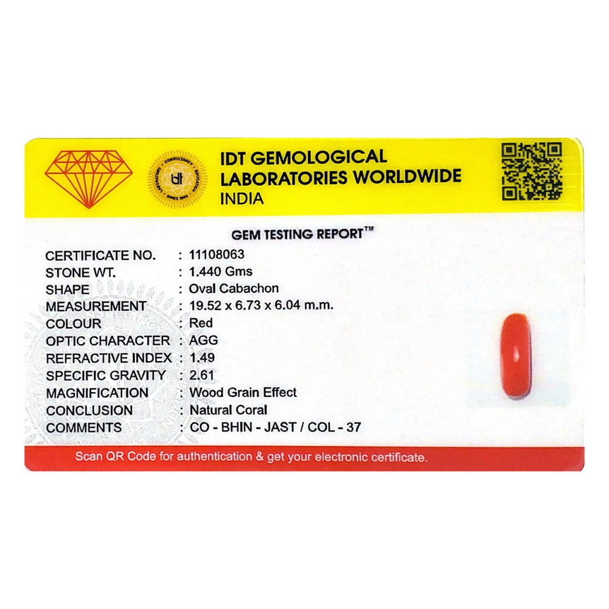 Red Coral - 7.2 Carat