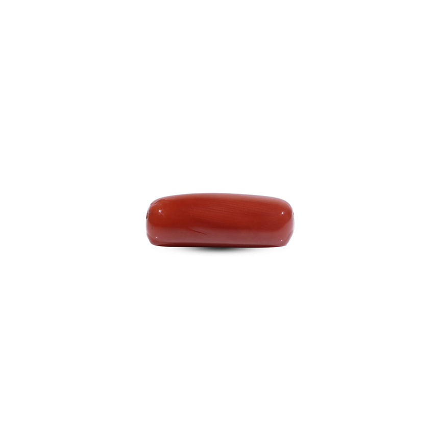 Red Coral - 8.2 Carat