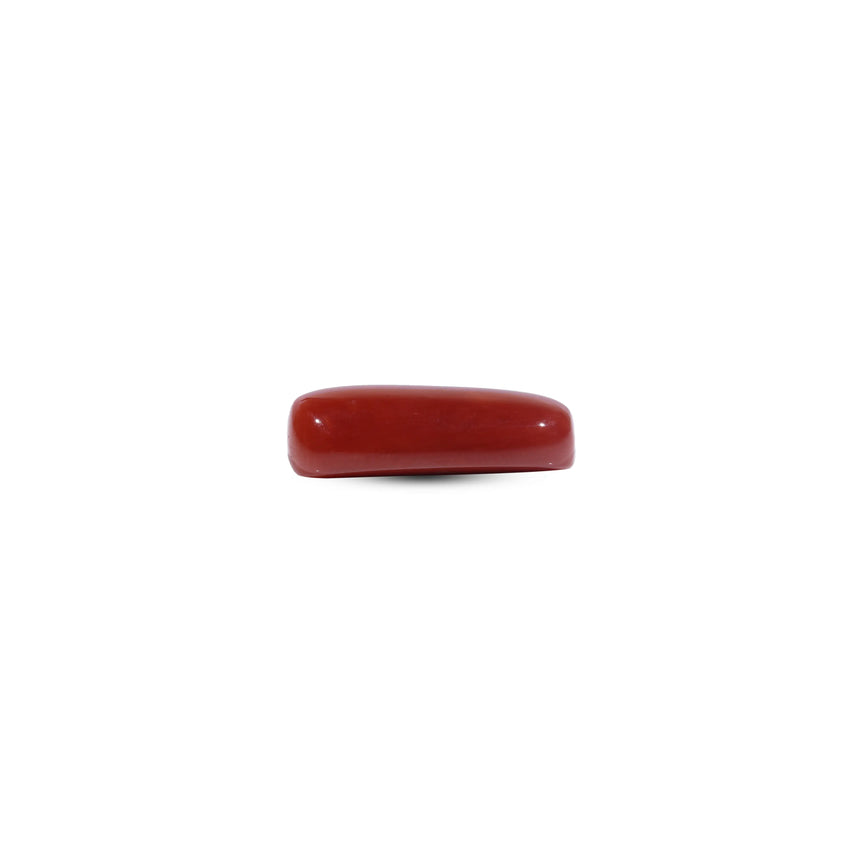 Red Coral - 7 Carat