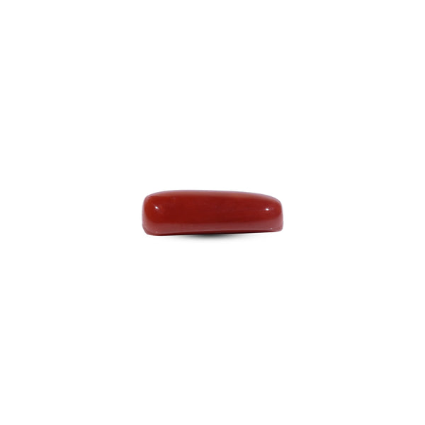 Red Coral - 7 Carat