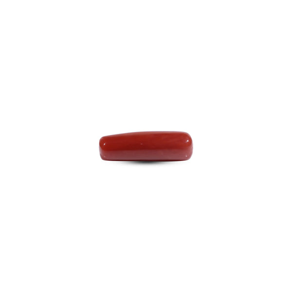  Red Coral - 7.05 Carat - Pramogh