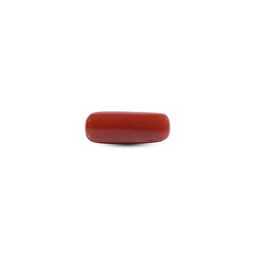 Red Coral - 9 Carat