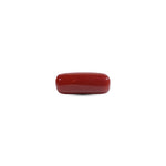  Red Coral - 7.7 Carat - Pramogh
