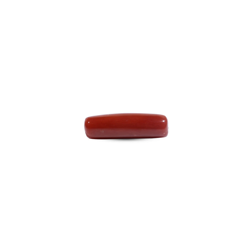 Red Coral - 8.1 Carat