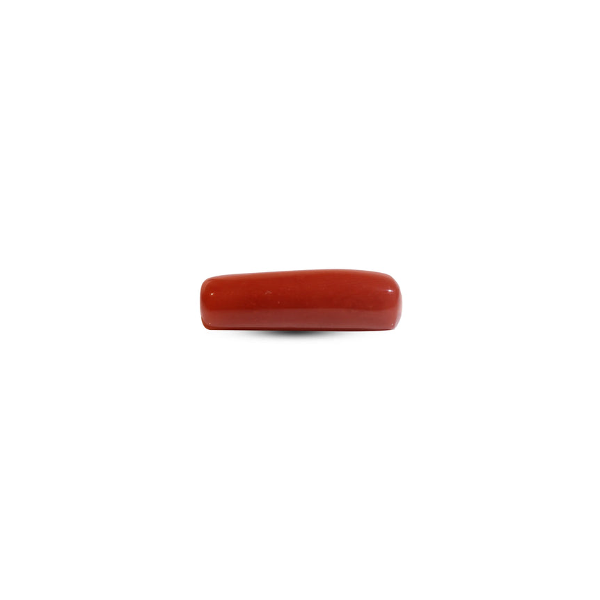 Red Coral - 7.7 Carat