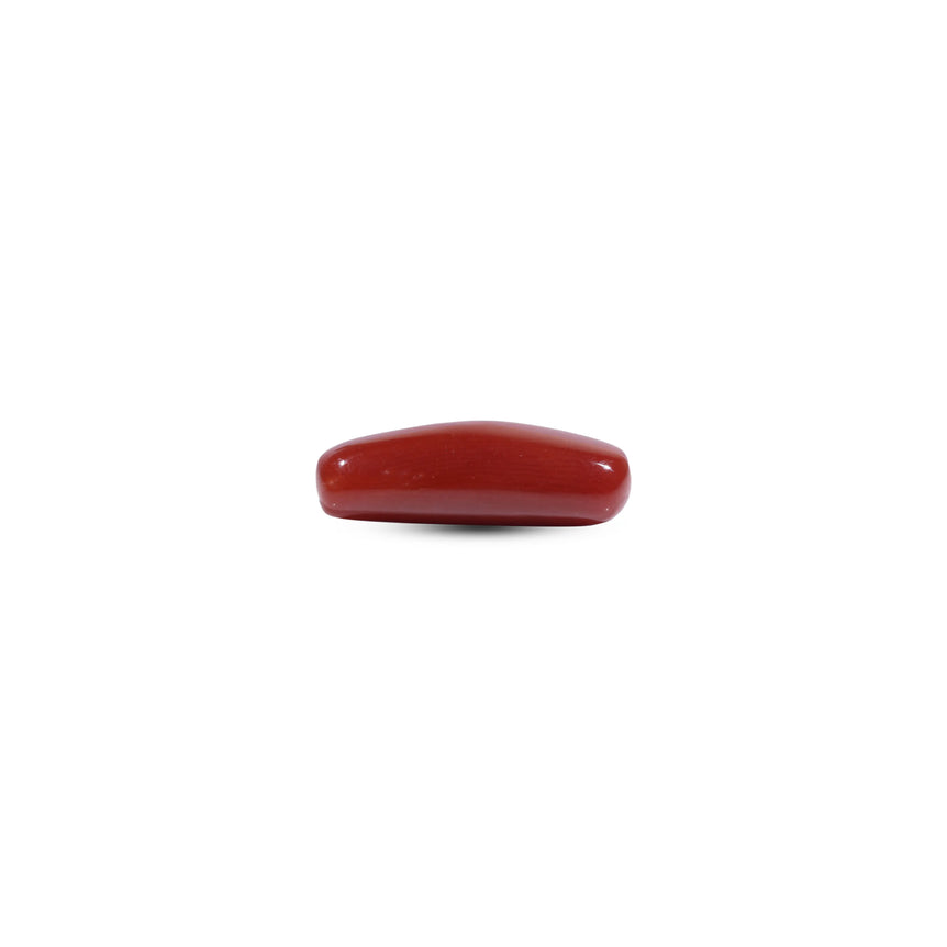 Red Coral - 7.2 Carat
