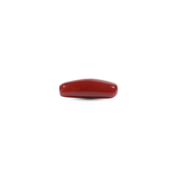 Red Coral - 7.2 Carat