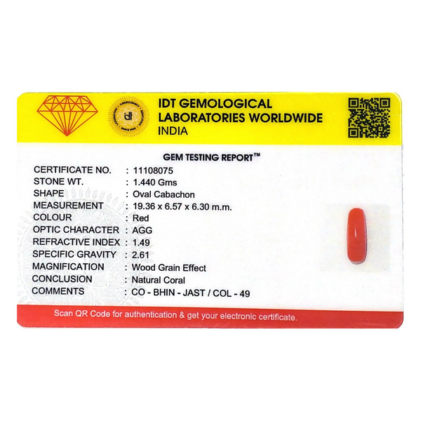 Red Coral - 7.2 Carat