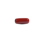  Red Coral - 8.25 Carat - Pramogh