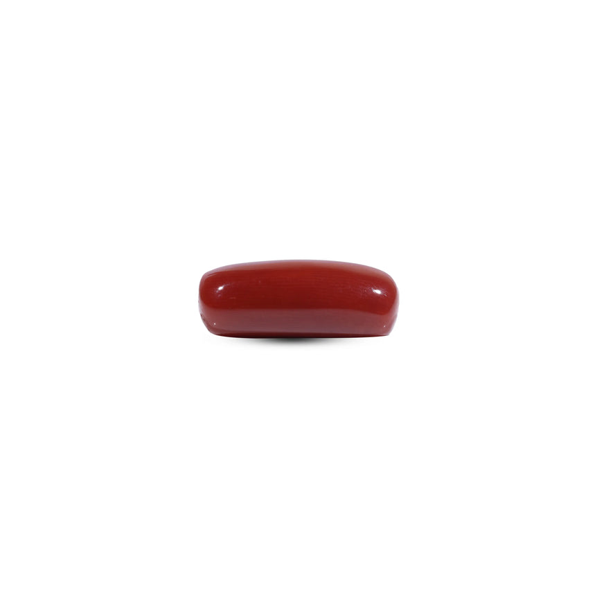 Red Coral - 8.25 Carat