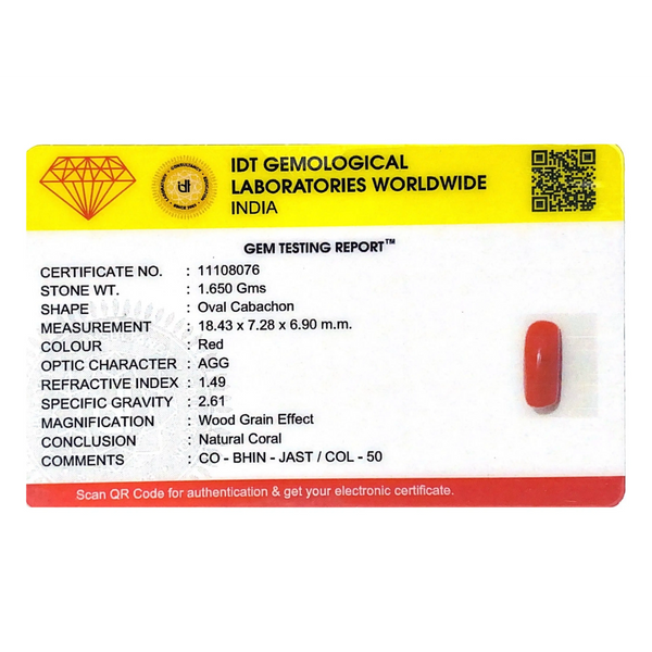 Red Coral - 8.25 Carat