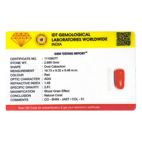 Red Coral - 13.4 Carat