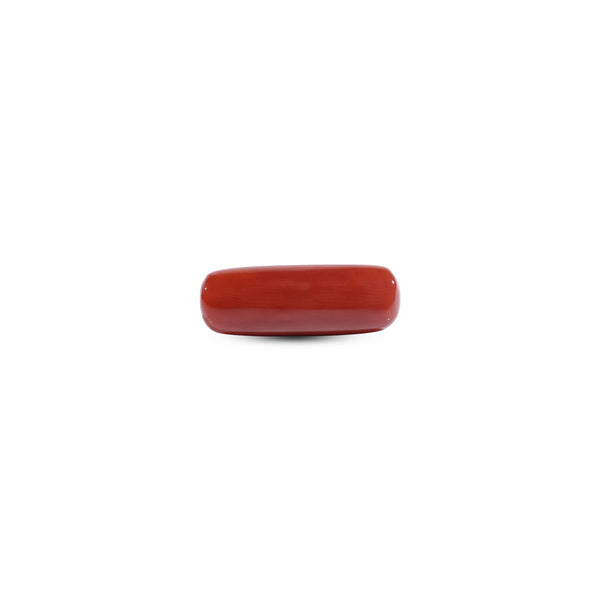 Red Coral - 7.7 Carat