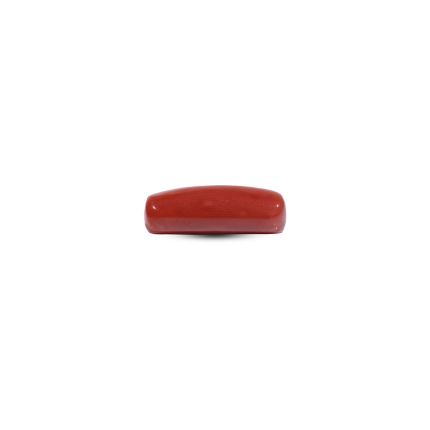Red Coral - 7.7 Carat