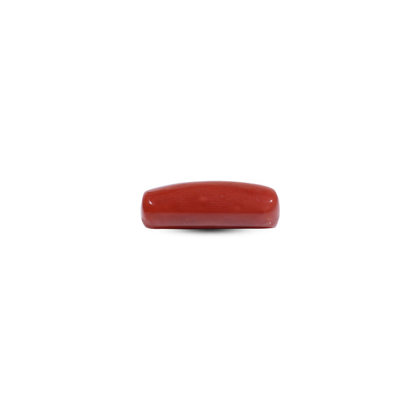 Red Coral - 7.7 Carat