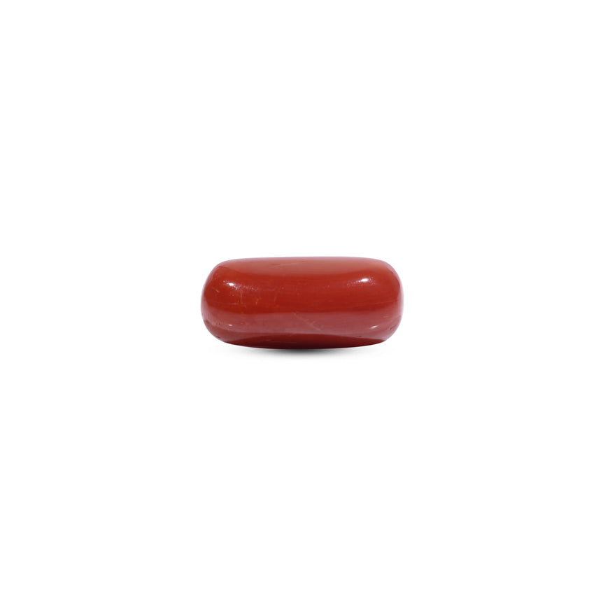  Red Coral - 7.45 Carat - Pramogh