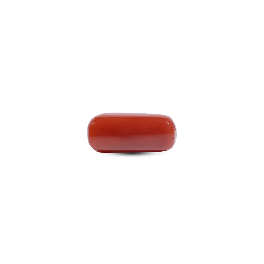 Red Coral - 7.45 Carat