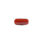 Red Coral - 7.45 Carat
