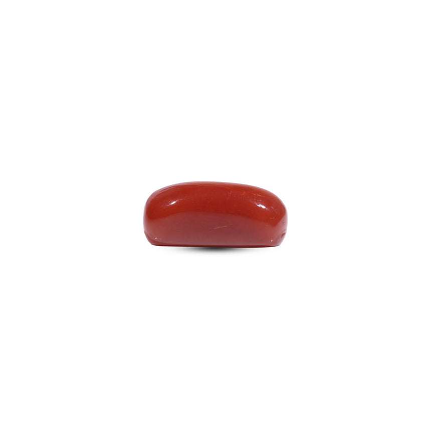 Red Coral - 7.45 Carat