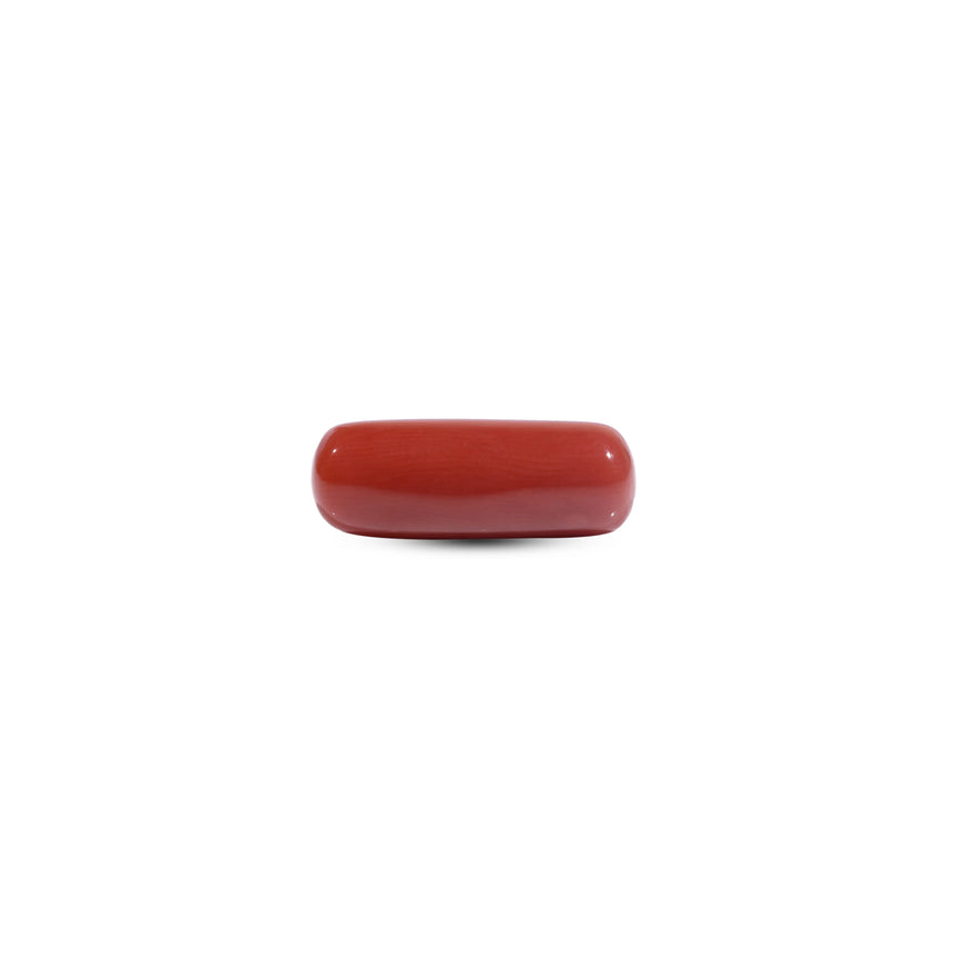  Red Coral - 8.2 Carat - Pramogh