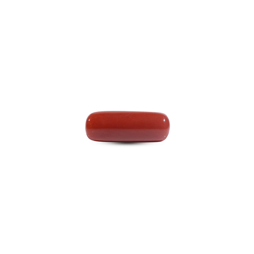 Red Coral - 8.2 Carat