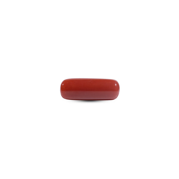 Red Coral - 8.2 Carat