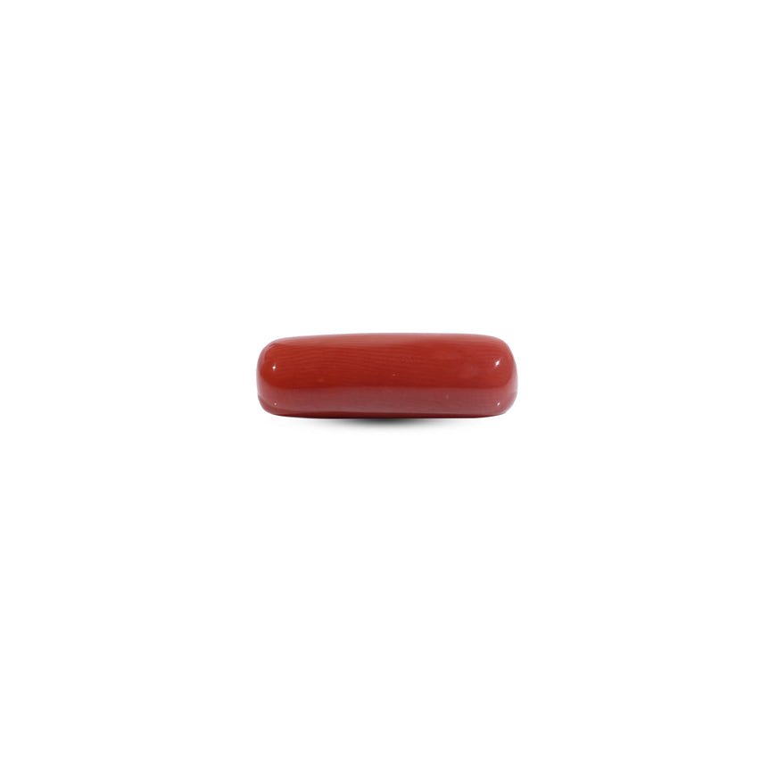 Red Coral - 8.2 Carat