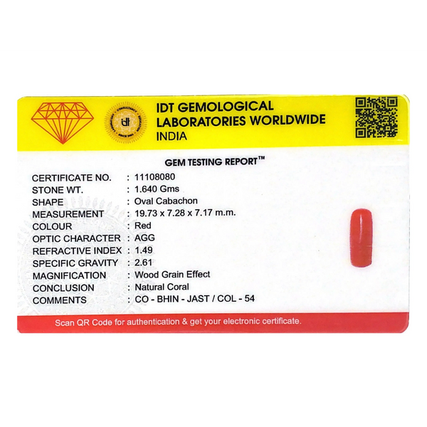 Red Coral - 8.2 Carat