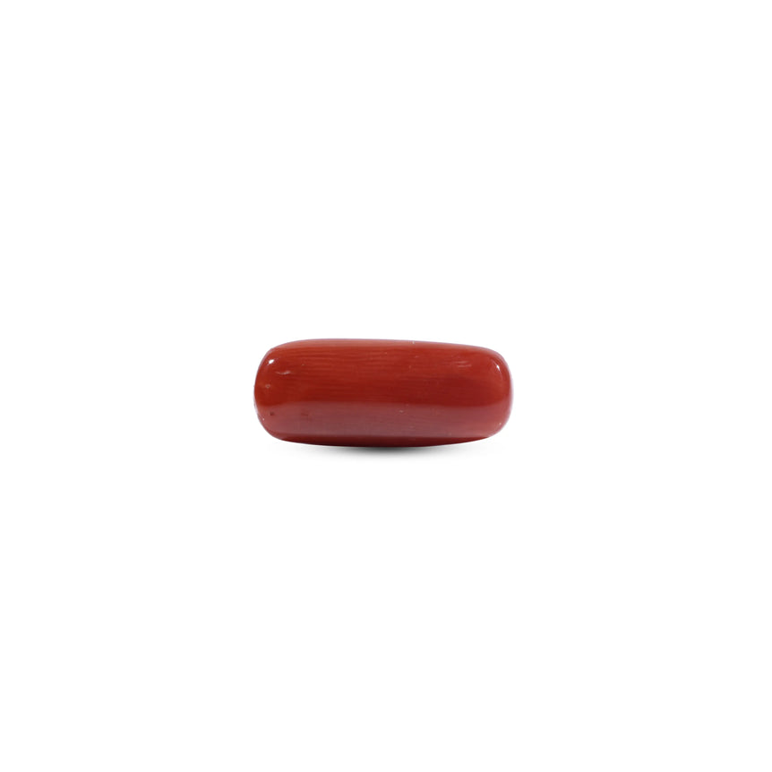 Red Coral - 7.2 Carat