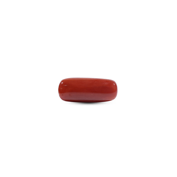 Red Coral - 7.2 Carat