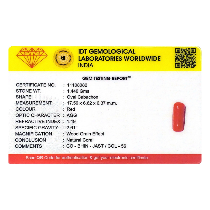 Red Coral - 7.2 Carat