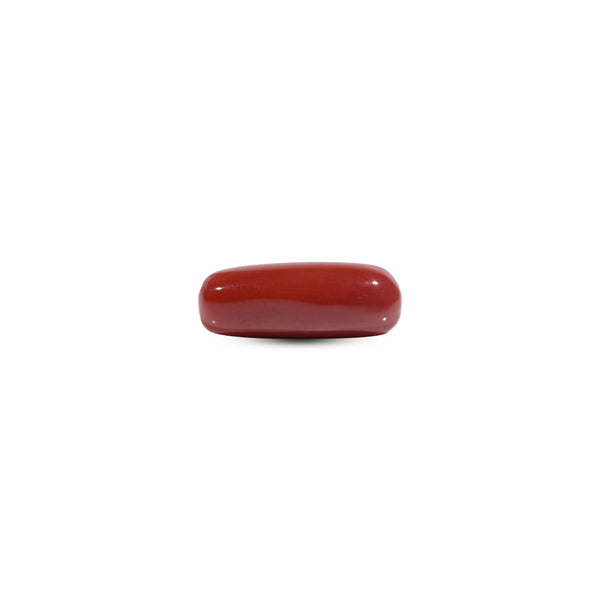  Red Coral - 8.15 Carat - Pramogh