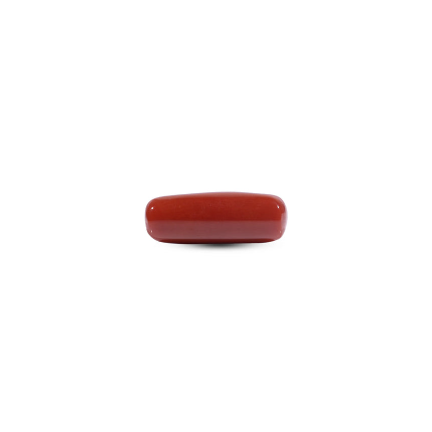 Red Coral - 8.15 Carat