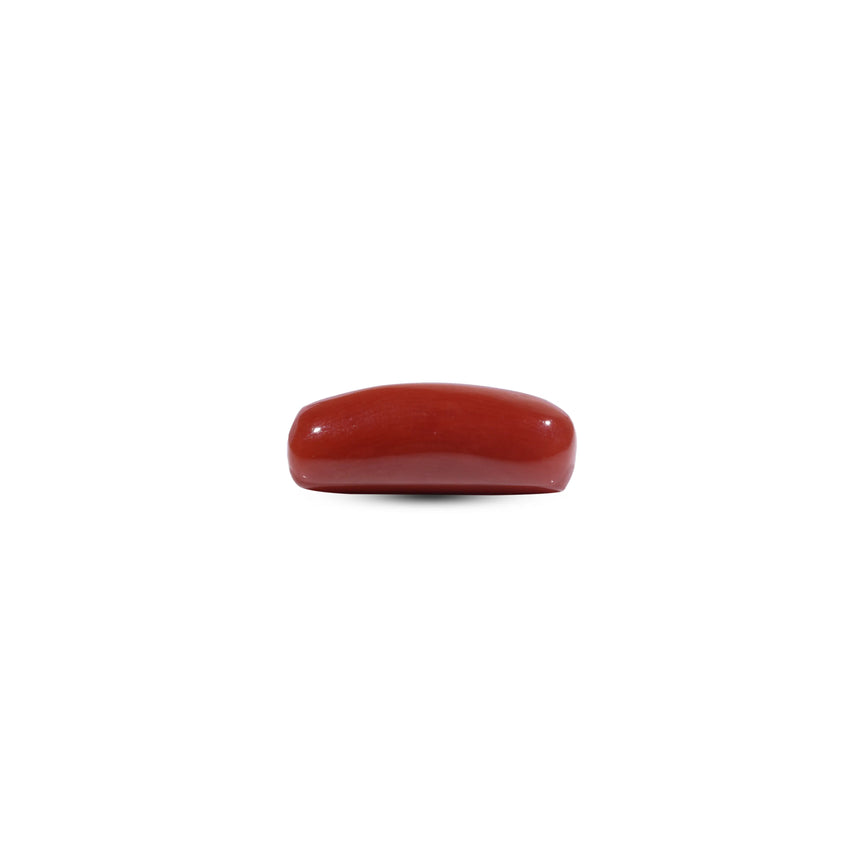 Red Coral - 8.15 Carat