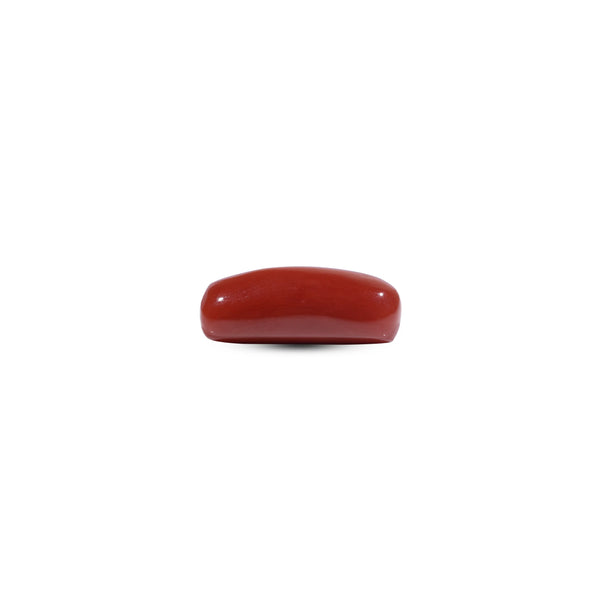 Red Coral - 8.15 Carat