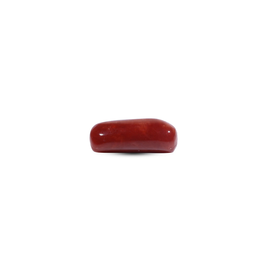 Red Coral - 7.8 Carat