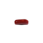 Red Coral - 7.8 Carat