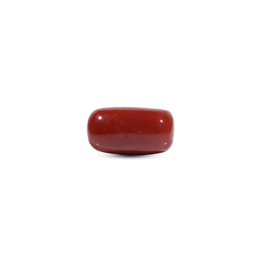  Red Coral - 9.4 Carat - Pramogh