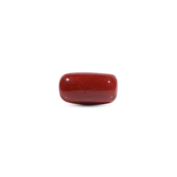  Red Coral - 9.4 Carat - Pramogh