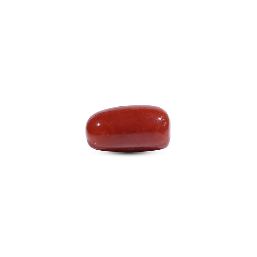 Red Coral - 9.4 Carat