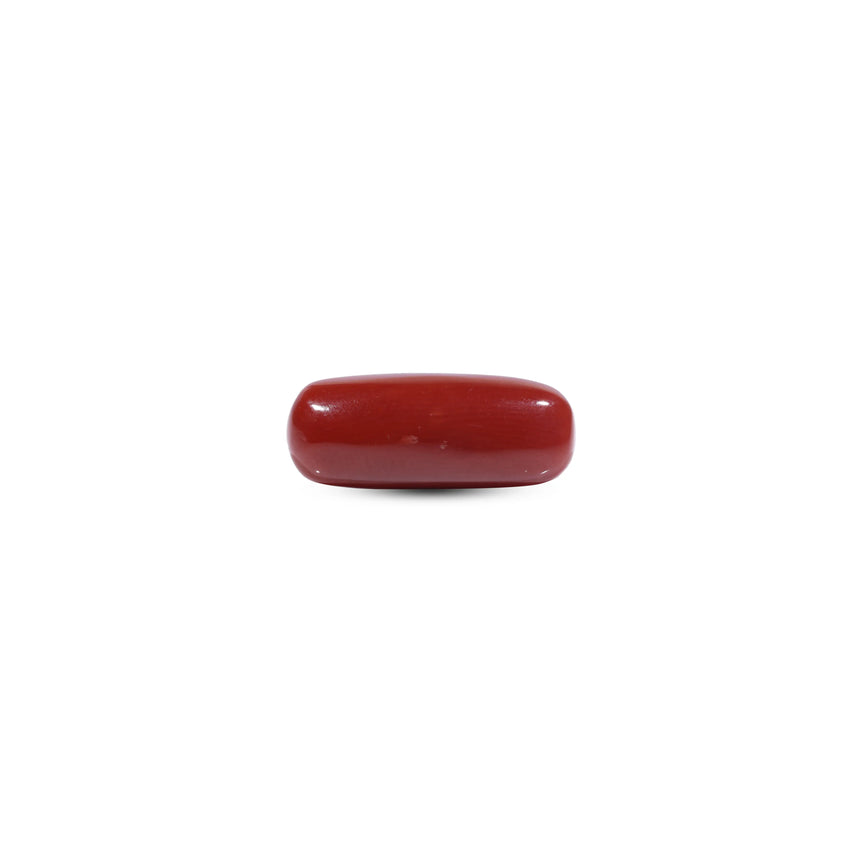  Red Coral - 7.2 Carat - Pramogh