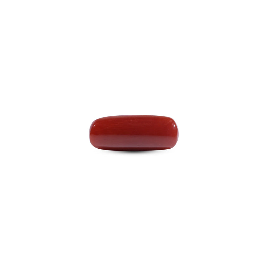 Red Coral - 7.2 Carat