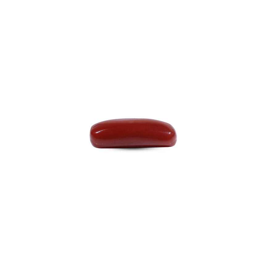 Red Coral - 7.2 Carat