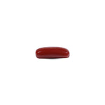 Red Coral - 7.2 Carat