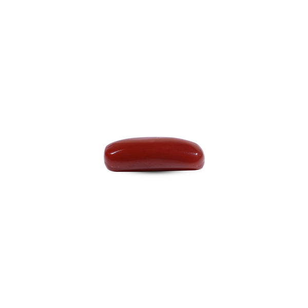 Red Coral - 7.2 Carat