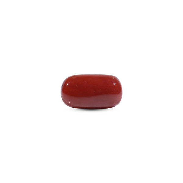  Red Coral - 8.5 Carat - Pramogh