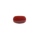  Red Coral - 8.5 Carat - Pramogh