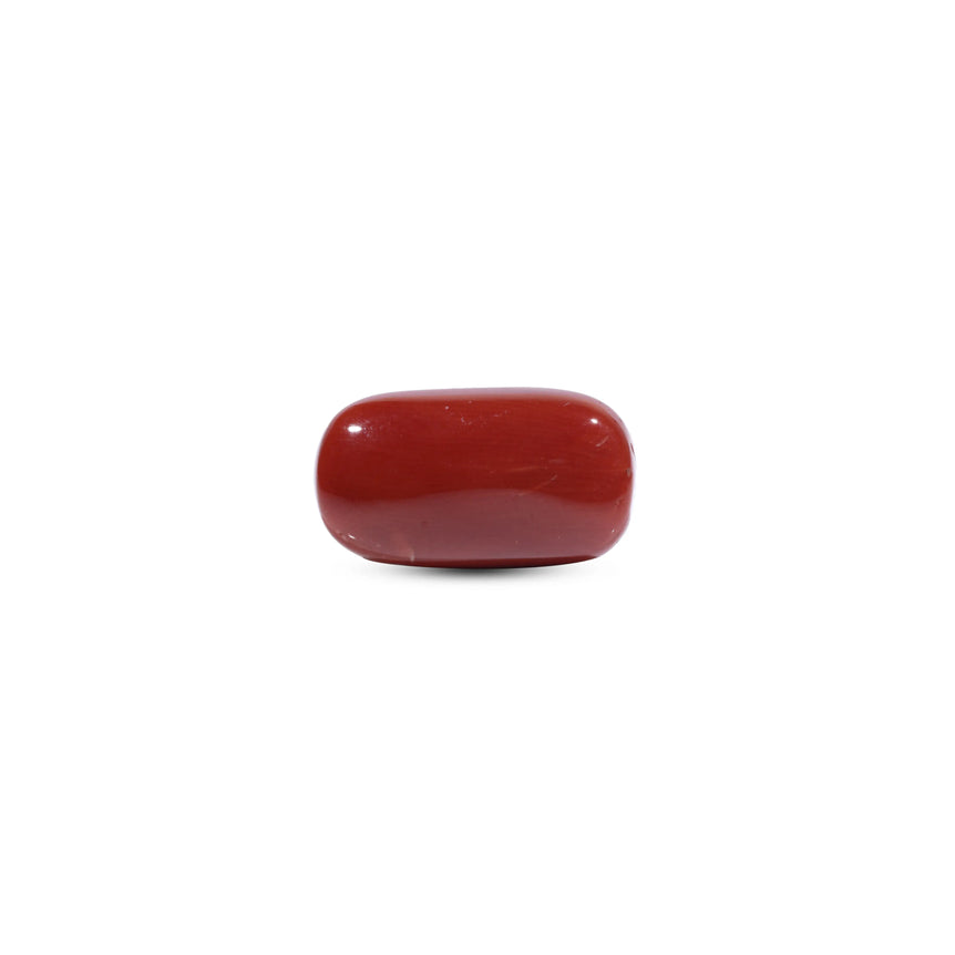 Red Coral - 8.5 Carat