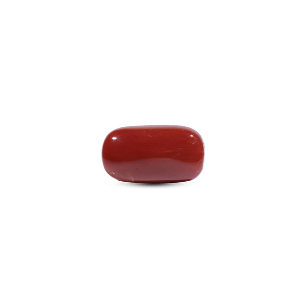 Red Coral - 8.5 Carat